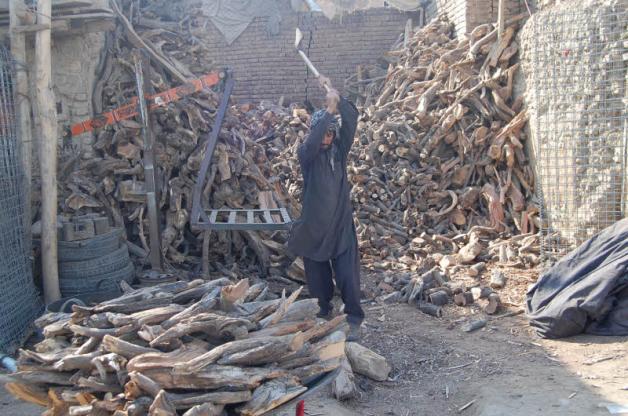 Kein Zuckerschlecken: Ein Brennholz-Produzent im Kabuler Stadtteil Shor Bazar.