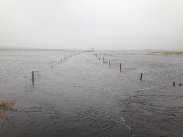 Dieses Foto zeigt die Löwenstedter Feldmark am Mittwoch. Die Ostenau im Kreis Nordfriesland hat die Grünlandflächen überschwemmt. Dieses Foto zeigt die Löwenstedter Feldmark am Mittwoch. Die Ostenau im Kreis Nordfriesland hat die Grünlandflächen überschwemmt.