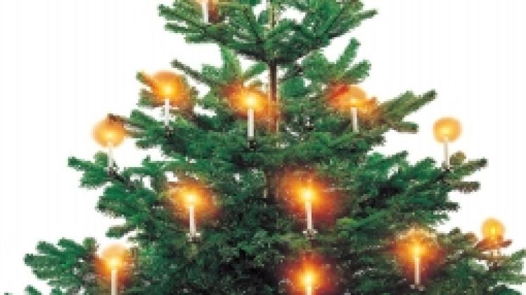 Friedvolle Freude und Hoffnung spendender Weihnachtsbaum. 