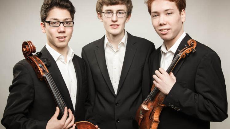 Das Lübsche Trio spielt morgen in Bosau: (von links) Lukas Schwarz, Jakob Linowitzki und Jonathan Schwarz. 