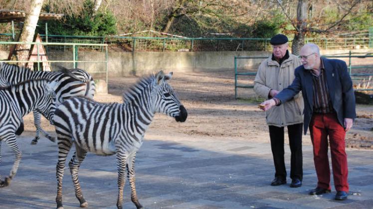 Ein Besuch bei seinen Lieblingstieren, den Zebras: der neue Fördervereinsvorsitzende Volker Strehlow (re.) und sein Stellvertreter Gerd Hofmann. 