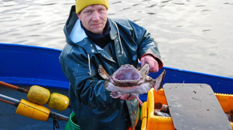 Das Maul des Seeteufels flößt auch Nebenerwerbsfischer Matthias Bleibohm Respekt ein.  Fotos: Kühl 