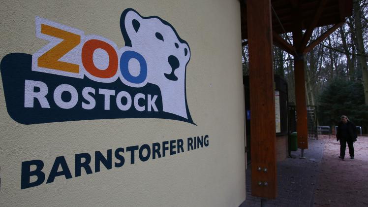 Rostocker Zoo nach Vogelgrippe-Fall geschlossen