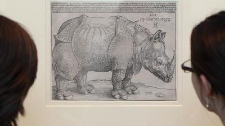 Das Rhinozeros von Albrecht Dürer (1515) 2011 im Germanischen Nationalmuseum Nürnberg. Foto: dpa