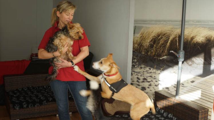 Inhaberin Franziska Kern kümmert sich liebevoll um die Hort-Hunde. 