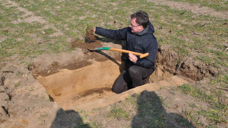 In der Humusschicht, die sich vom Sand darunter dunkel abhebt, hat die Pflanze eine kräftige Wurzel ausgebildet, zeigt Agrarchef Wolf-Dieter Vetter.
