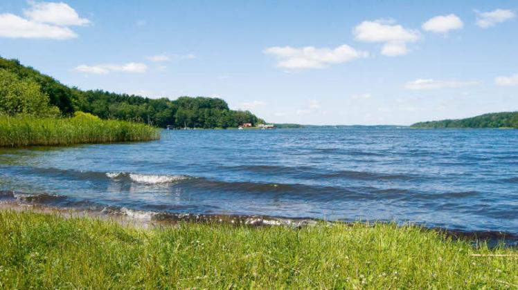Dem Plauer See, der Teil des zusammenhängenden europäischen Schutzgebietsystems „Natura 2000“ ist, wird derzeit eine gute Wasserqualität bescheinigt. 