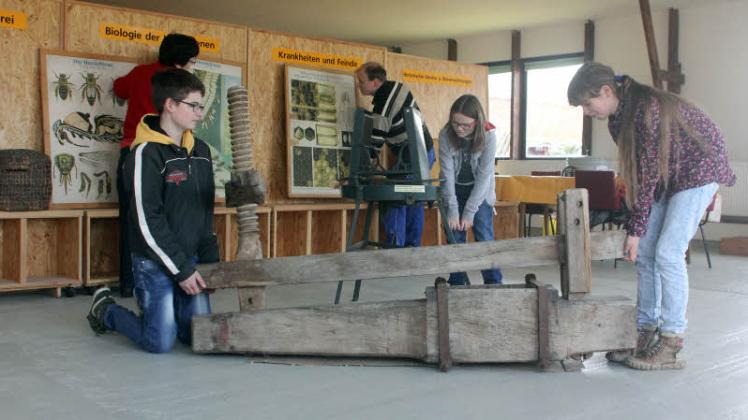 Hier helfen die jungen Imker beim Einrichten des Bienenmuseums in Quetzin mit. Fotos: Michael-Günther Bölsche 