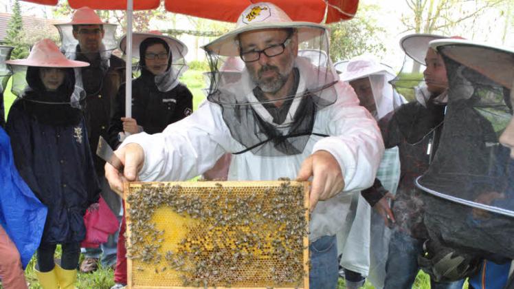 Dr. Winfried Dyrba zeigt den Zarrentiner Schülern eine Zwischenwand mit Bienen.  