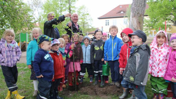 Die Kinder der Kita „Schlossgeister“ freuten sich über den Baum von Wolf-Dietrich Wilhelms und Peter Schmidt (l.).  