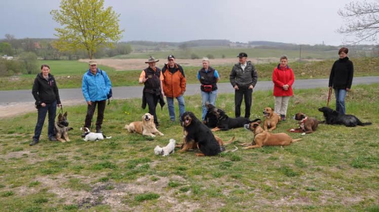 Das klappt doch schon mal gut: Bevor die Hundewanderung in Kobrow beginnt, liegen oder sitzen die Vierbeiner ruhig nebeneinander.  Fotos: Rüdiger Rump 