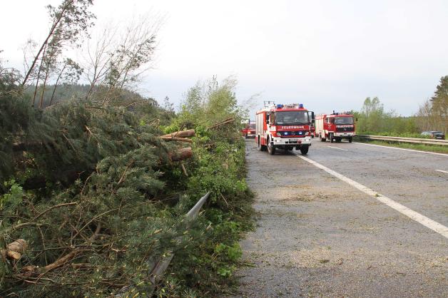 Erneut Tornado? A19 bei Krakow am See nach Sturmschäden voll gesperrt