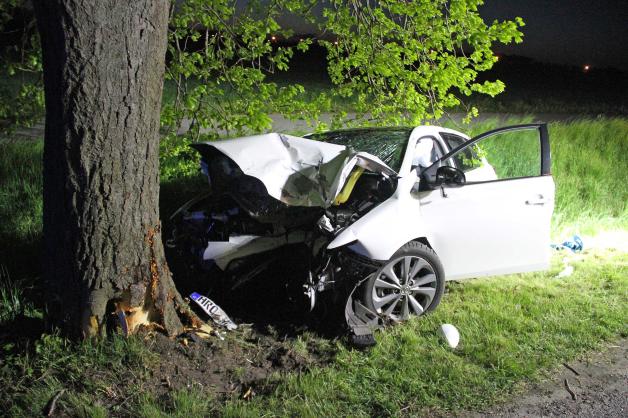 Mit Auto frontal gegen Baum: 75-Jähriger stirbt bei Unfall in Rostock