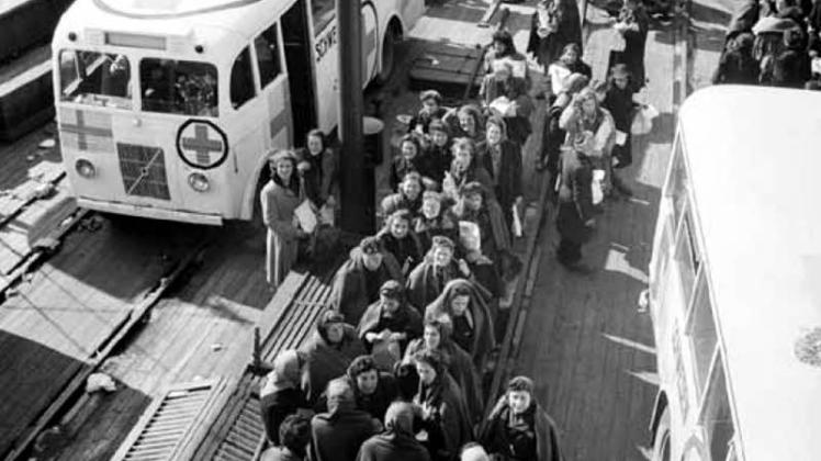 Weiße Busse in die Freiheit – gekennzeichnet mit dem Roten Kreuz sowie mit der schwedischen Fahne: Die Ankunft der geretteten KZ-Gefangenen auf der Fähre im Hafen von Malmö. Wie auf dem Bild zu sehen, handelte es sich zumeist um freigelassene weibliche Häftlinge. 