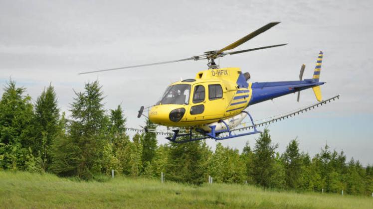 Zum ersten Mal startet gestern der Hubschrauber, um die Pflanzenschutzmittel über den betroffenen Eichen auszubringen. 