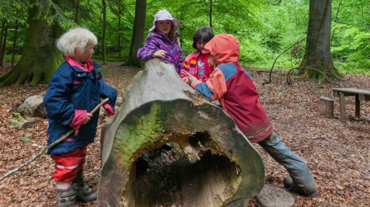 Zunächst einmal dürfen die Kinder im Bokhorster Waldkindergarten weiter durch den Wald sausen. Eine Entscheidung über die Genehmigung zur Aufstellung oder des Standortes des Bauwagens als Schutzraum steht noch aus.  