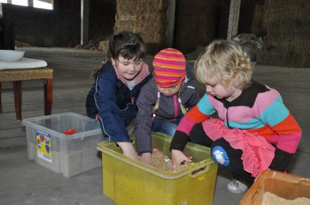 Johanna, Greta und Marie suchen im Getreide nach Süßigkeiten.   Fotos: sabrina panknin 