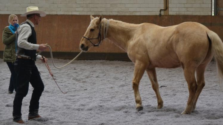 Thorsten Suckow führt mit Perd „Heza Lil Trick“ die Methode Natural Horsemanship im Reitstall- und Pensionsstall Kruse vor. Henny Brüning (links) führt durch das Programm Thorsten Suckow führt mit Perd „Heza Lil Trick“ die Methode Natural Horsemanship im Reitstall- und Pensionsstall Kruse vor. Henny Brüning (links) führt durch das Programm