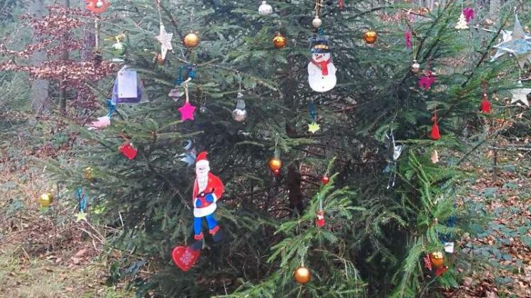 Mit Liebe geschmückt: der Weihnachtsbaum im Riemsloher Wald. Fotos: Tanja Indenbirken