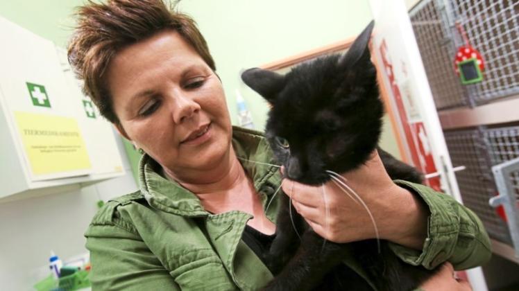 Katze Mohrle, die Tierschützerin Sonja Rolfes hält, ist schon 15 Jahre alt und sucht dringend ein neues Zuhause. Nach dem letzten Streit mit ihren Artgenossen, hat sie ihr linkes Auge verloren. Fotos: Julia Mausch