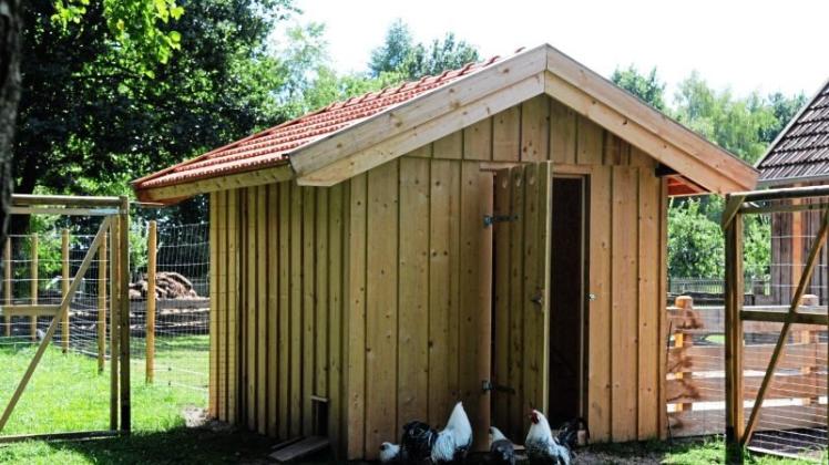 Der neue Stall für die Totleger Hühner wurde von den Museumsmitarbeitern in Eigenregie aus Lärchenholz errichtet. 