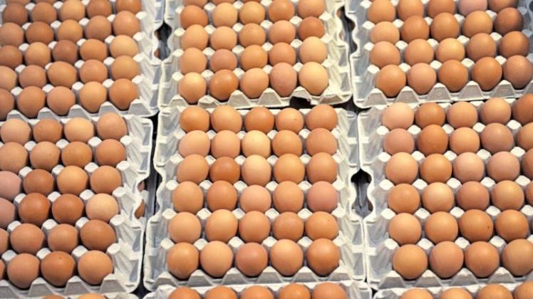 Verbraucher können anhand der aufgestempelten Nummern selbst überprüfen, ob Eier in ihrem Kühlschrank mit dem Insektizid Fipronil belastet sind. 