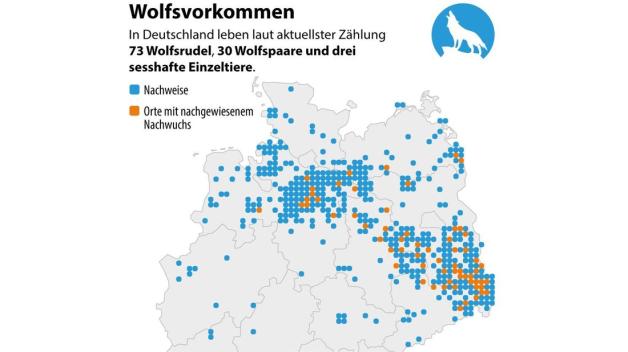 Wie Viel Wölfe Gibt Es In Deutschland www.svz.de