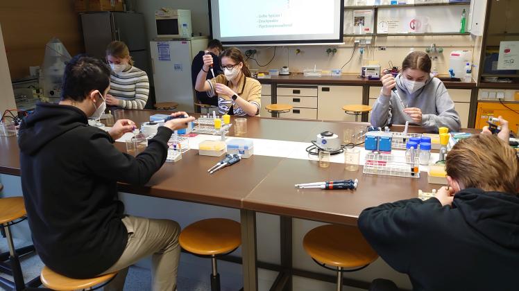 Die Schüler des Bio-Leistungskurses durften im Labor der Uni Osnabrück praktisch arbeiten. GeLoWe