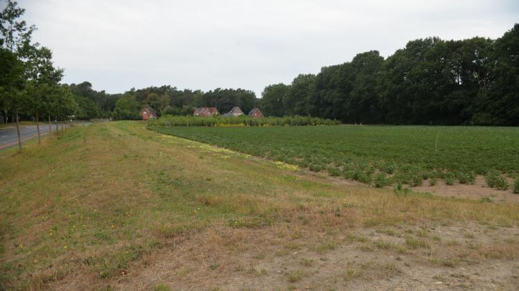 Durch eine Verlegung des Deiches bis an den Waldrand rechts im Bild sollten im Lingener Ortsteil Schepsdorf neue Bauplätze geschaffen werden.