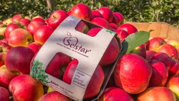 Geerntet im Alten Land, Wissenschaft und Forschung aus Berlin und Osnabrück: „Selstar“ heißt die Apfel-Innovation der Hochschule Osnabrück, welche exklusiv in den Edeka-Märkte auf dem Markt ist. Ein Apfel deckt bereits mehr als ein Drittel des Selen-Tagesbedarfes.