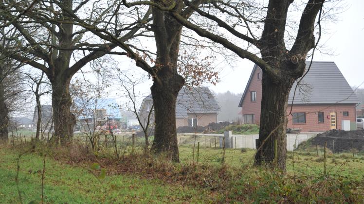 Die Debatte um die Erweiterung des Baugebietes zwischen Bethlehem, Splitting und Rheiderlandstraße in Papenburg geht weiter (Archivbild). Die Debatte um die Erweiterung des Baugebietes zwischen Bethlehem, Splitting und Rheiderlandstraße in Papenburg geht weiter (Archivbild).