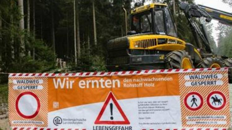 Abgesperrte Waldwege dürfen wegen fallender Bäume und Kronenteile während der Erntearbeiten auf keinen Fall betreten werden, hier besteht Lebensgefahr.