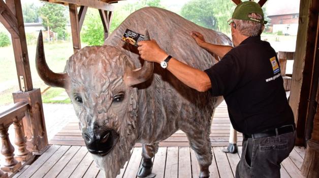 Der Büffel muss weichen: Aus dem ehemaligen „White Buffalo“, das auch als „Texas River Ranch“ und zuvor als „Gasthaus Segelken“ firmierte, wird bald das Lokal „The Hangout“. 