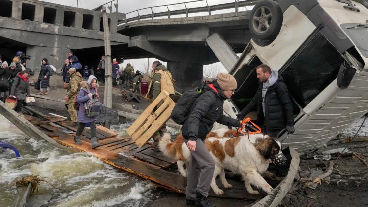 Unter dem Krieg in der Ukraine leiden auch die Tiere. Der Delmenhorster Tierschutzverein ruft zur Unterstützung auf. 