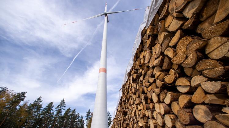 Im Rahmen der Energiewende plant das Land Niedersachsen, den Bau von Windrädern auch in Wäldern zu erleichtern. Die Stadt Freren lehnt dies ab.