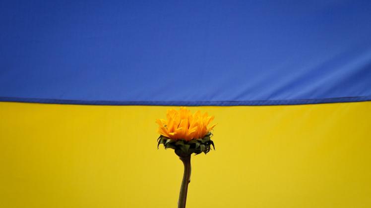 Ukraine-Flagge Ukraine-Flagge