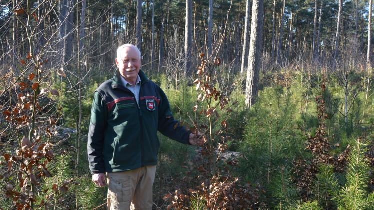 Der Waldumbau ist auch in der Bezirksförsterei Freren in vollem Gange. 37 Jahre lang war Herbert Geers für die Wälder zuständig.