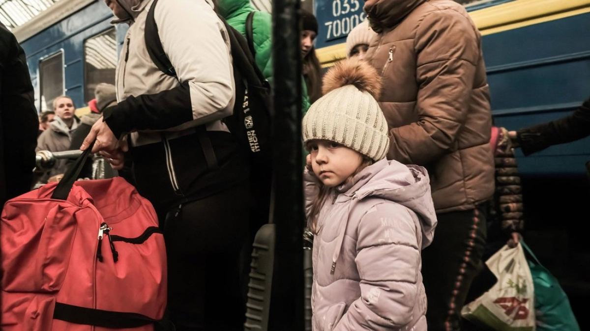 Krieg In Ukraine Kreis Segeberg Rechnet Mit Vielen Fl chtlingen SHZ