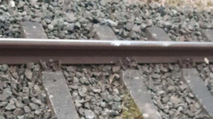 Kinder haben am Montag Steine auf eine Straßenbahnschiene in Schwerin gelegt und damit eine Entgleisung provoziert.