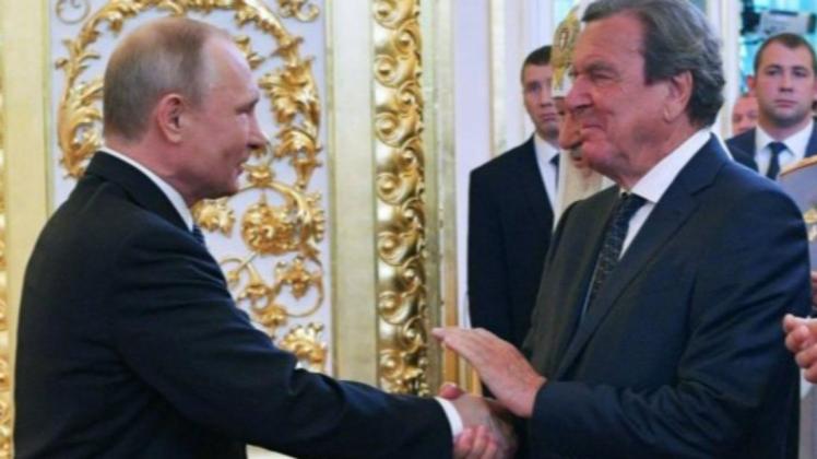 Altkanzler Gerhard Schröder wird seit langem wegen seiner Nähe zu Wladimir Putin kritisiert.