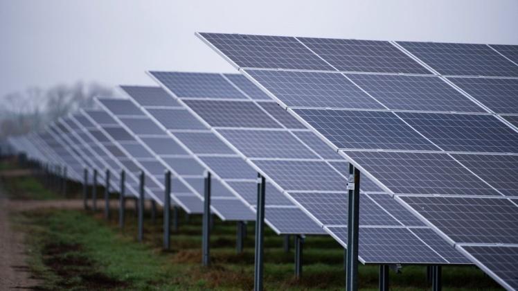 Auch in Dabel könnten in ein paar Jahren große Solarparks entstehen. Die offiziellen Planungen gehen jetzt los. (Symbolfoto)