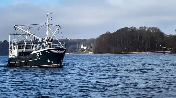 Fischereischiff „Thyra“ ist seit Ende Februar in der Förde unterwegs.