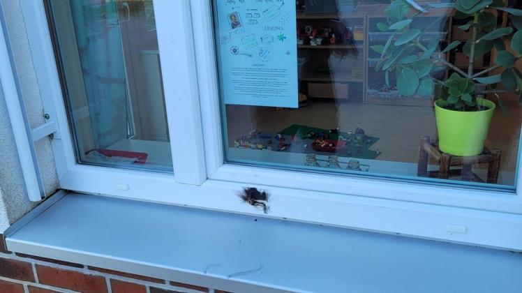 Ein verkohlter Fensterrahmen: Unbekannte haben möglicherweise versucht, sich zum Inneren der Grundschule Zugang zu verschaffen.