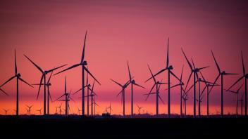 Bundesweit ist die Fernsteuerung von Windkraftanlagen ausgefallen, auch in Mecklenburg-Vorpommern.