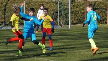 Die Jungs vom FC Aufbau Sternberg (blau, hier gegen FCM Schwerin) gewannen das E-Jugendturnier.