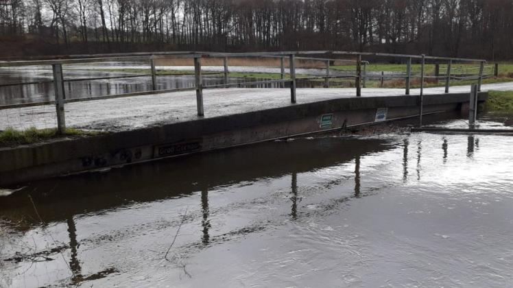 Das Wasser steht bis zur Unterkante der Warnowbrücke zwischen Sternberger Burg und Groß Görnow. Am Mittwoch hat die Stadt Sternberg die Brücke gesperrt. Das Wasser steht bis zur Unterkante der Warnowbrücke zwischen Sternberger Burg und Groß Görnow. Am Mittwoch hat die Stadt Sternberg die Brücke gesperrt.