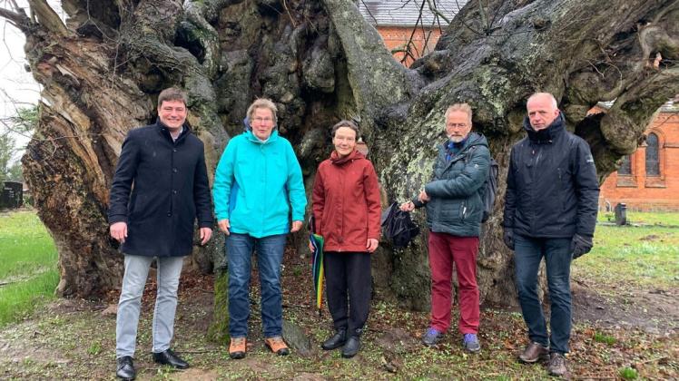 Sie alle sind stolz auf die Linde, die nun Nationalerbe-Baum ist: Sebastian Constien, Maren Polzin, Anne-Barbara Kretschmann, Prof. Dr. Andreas Roloff und Wolf-Peter Polzin (v. l.).