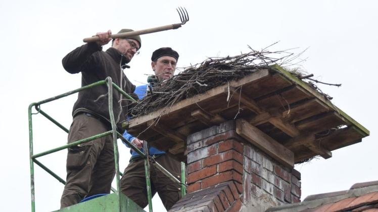 Clemens Hercke (l.), Ranger der Naturwacht, und Jan Dierks, Leiter des NABU-Besucherzentrums Rühstädt, befreien die Nester im Storchendorf von überschüssigem Material.