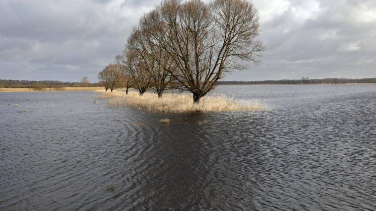 Die Regenfälle der letzten Sturmtiefs haben die Recknitz über die Ufer treten lassen und weite Flächen überschwemmt.