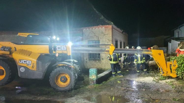 Zwölf Einsätze in der Orkan-Nacht für die Laager Feuerwehr: Auch immer wieder wegen Baumhindernissen.